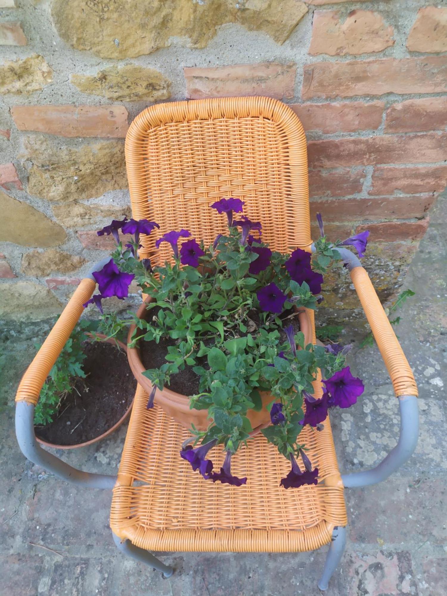 מונטאיונה Da Tilli Alla Fornace - Agriturismo חדר תמונה